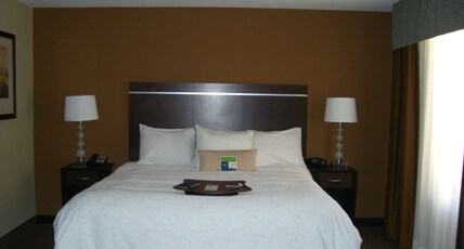 Hampton Inn and Suites Pueblo/North Room Type - 1 KING STUDIO STE NONSMOK