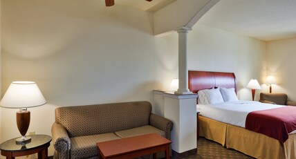 Holiday Inn Express Hotel & Suites Fairfield - North, an IHG Hotel Room Type - 1 King Bed Suite Extra Floor Space