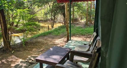Deep Jungle Home Room Type - Swiss Tent Room