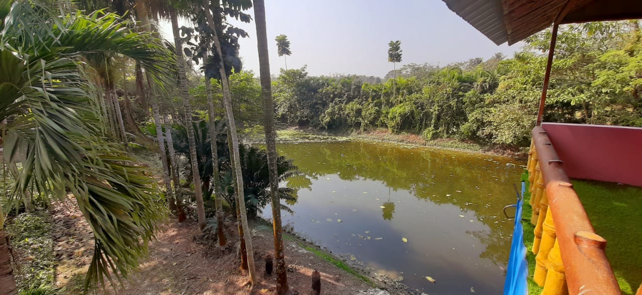 BAWALI BAGAN BARI - Tap to explore photos