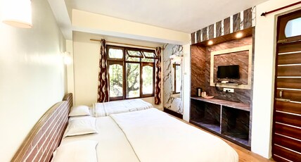 Hotel Green Leaf (500m from Mall Road) Room Type - Triple Bed Deluxe