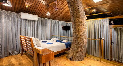 Eterno Camellia and Elettaria Room Type - Luxury Tree House AC with Balcony