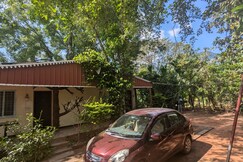 Jungle Hut Dreamy Greeny