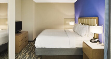Holiday Inn AUGUSTA WEST I-20 Room Type - 1 King Bed Ste Comm Accessible Roll Shwr
