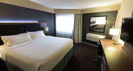 Holiday Inn Express EDMONTON DOWNTOWN Room Type - 1 King Bed Standard