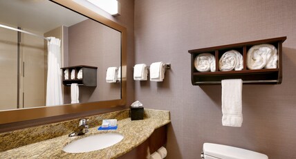 Holiday Inn Express Hotel & Suites Billings Room Type - 1 King Bed 1 Bedroom Suite
