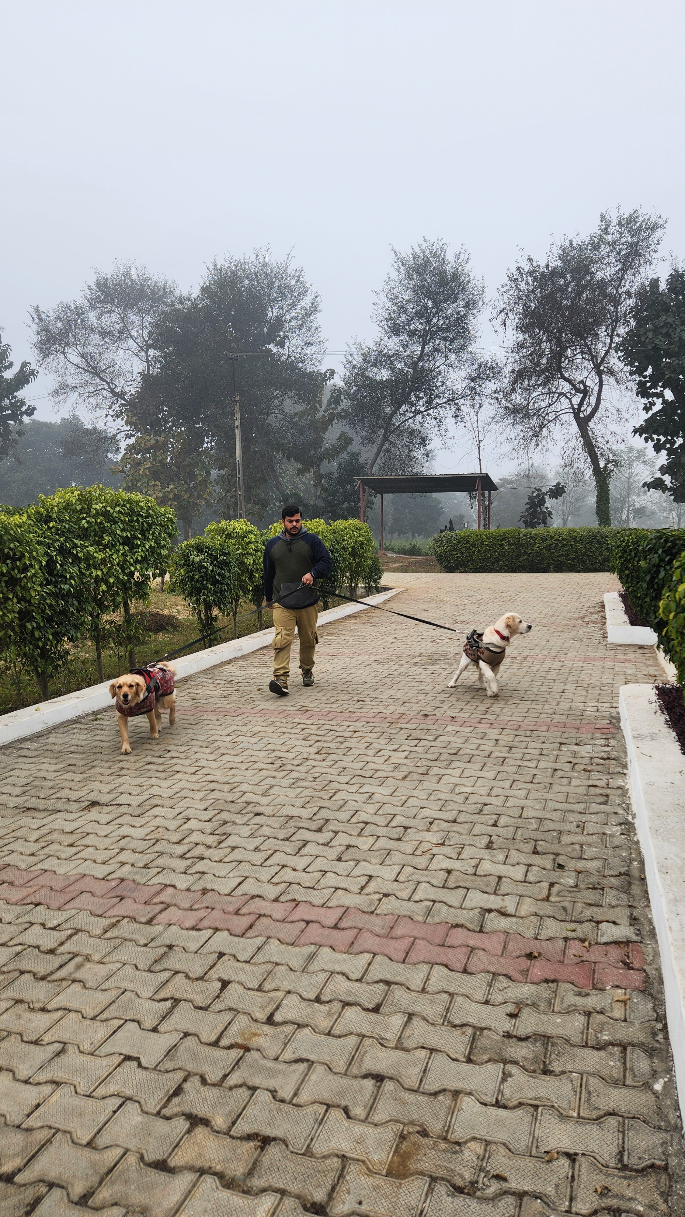 Rajwada Farms Dudhwa - Tap to explore photos