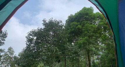 Bara Hatta Homestay Room Type - Tent stay