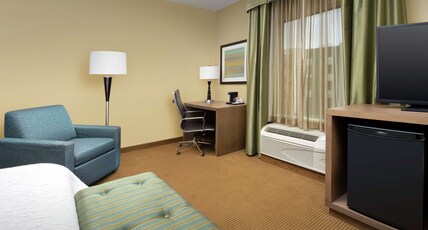 Hampton Inn by Hilton LAKE CHARLES Room Type - 1 KING NS