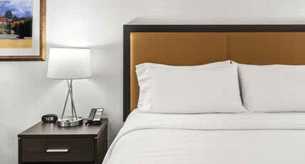 Holiday Inn Express WENATCHEE Room Type - 1 King Bed Standard Sofa Bed Holiday Inn Express WENATCHEE Room Type - 1 King Bed Standard Sofa Bed