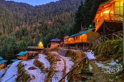 Mid Conifer | Resort & Cottages