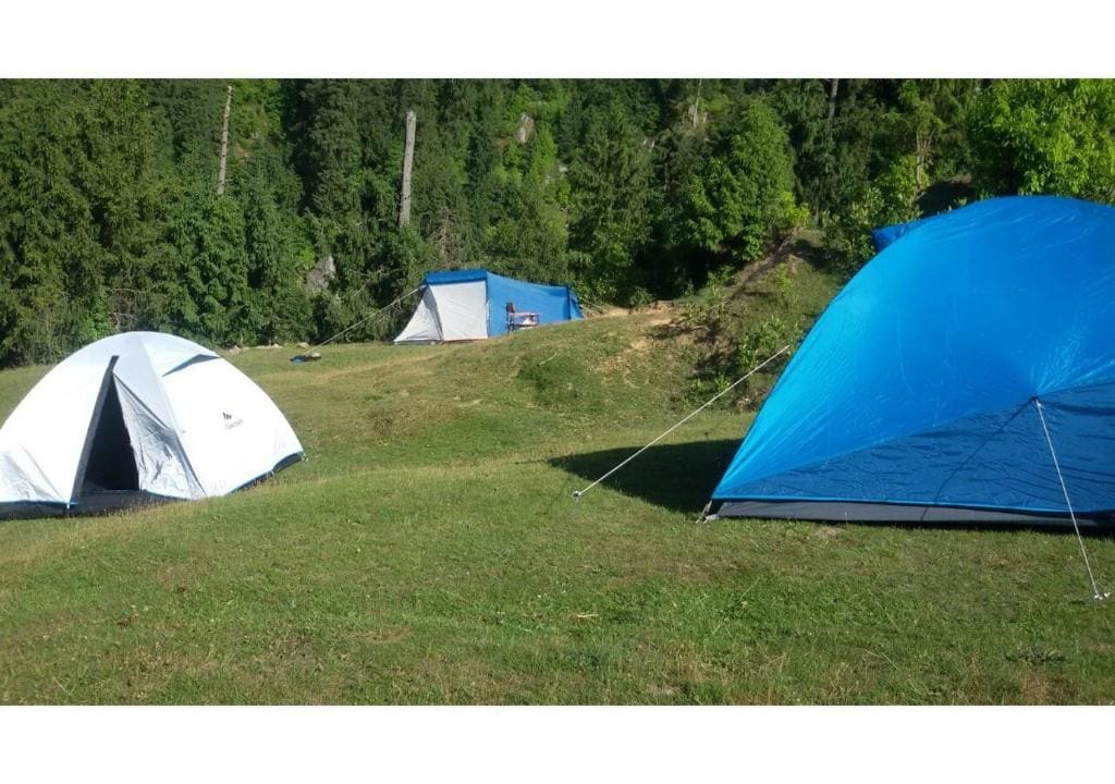 DeepForest Camps | Tents with mountains view - Tap to explore photos