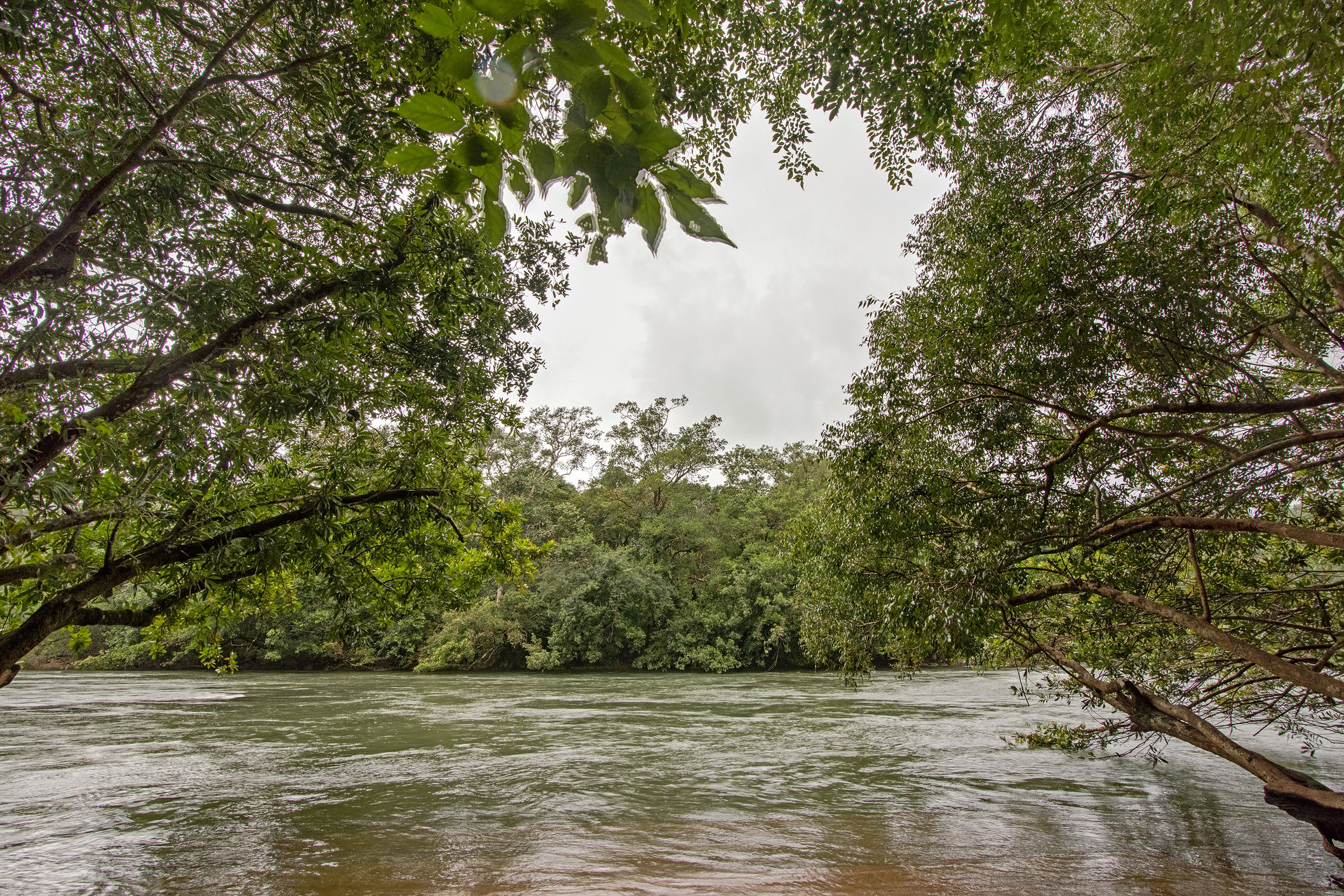 Seethanadi Nature Camp by Jungle Lodges - Tap to explore photos