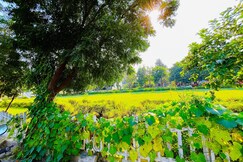 Garden Villa 200 meters from Expo Mart