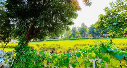 Garden Villa 200 meters from Expo Mart Room Type - Garden Villa 200 meters from Expo Mart