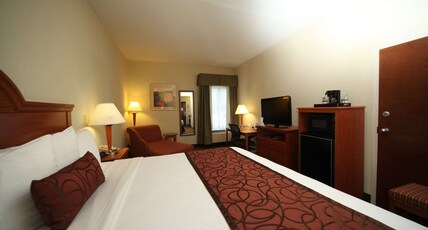 BEST WESTERN PLUS EDISON INN Room Type - 1 King Bed, Non-Smoking, Deluxe Room, Flat Screen Television, Chaise Lounge, Microwave And Refrigera