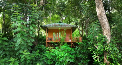 Thennal Jungle Camp Room Type - Canopy Hut (Elevated Mud House)
