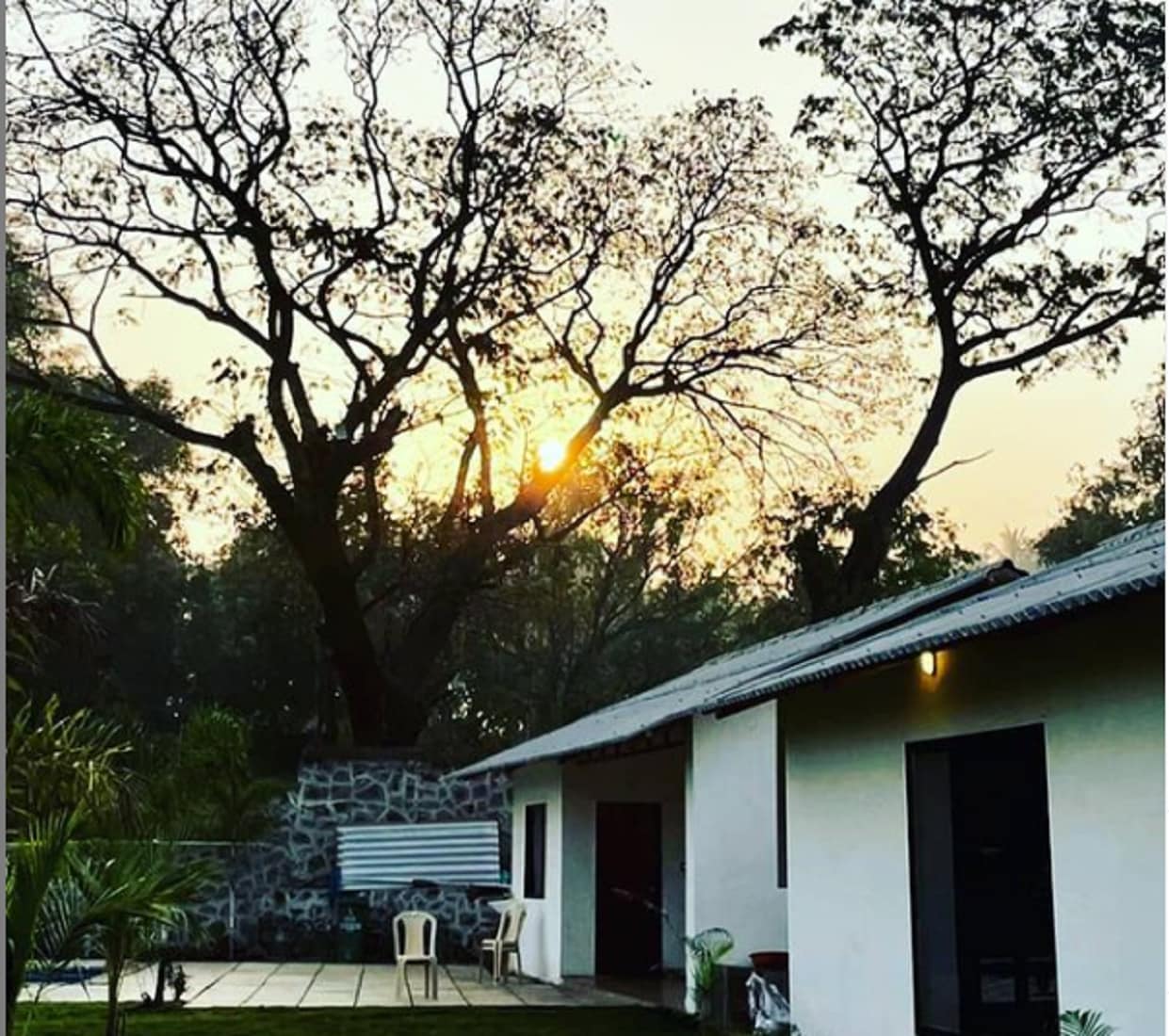 Rishabh Farm - Tap to explore photos