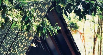 Camptop Munnar Room Type - Garden Breeze Tent