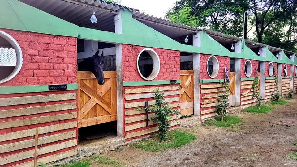WayFare Stud Farm and Resort - Tap to explore photos