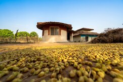 Sal Tree Homestay