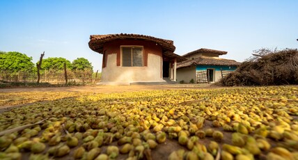 Sal Tree Homestay Room Type - Sal Tree Homestay