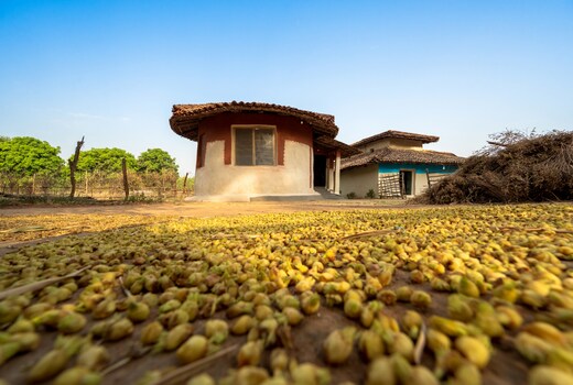 Sal Tree Homestay