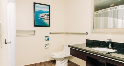 Holiday Inn SAN SALVADOR Room Type - 1 King Standard Access Roll in Shower