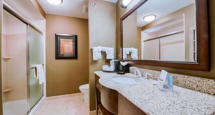 Hampton Inn & Suites by Hilton Pinedale Room Type - 1KNG STUDIO SOFABED NOSMOK