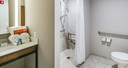 Hilton Garden Inn Ames Room Type - 1 KING ACC RM 3X3 SHW