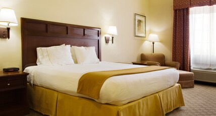 Holiday Inn Express & Suites LEVELLAND Room Type - 1 King Bd Standard Comm Access Roll Shwr