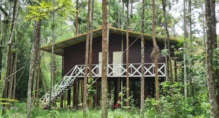 Deep Jungle Home Room Type - Tree House Bandipur