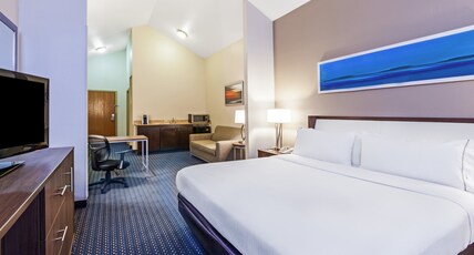 Holiday Inn Express & Suites - Pharr Room Type - 1 King Standard Mobil Access Tub