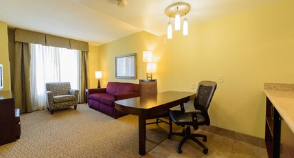 Embassy Suites Minneapolis - North Room Type - 1KG STE ACC RI SHWR NO SMK