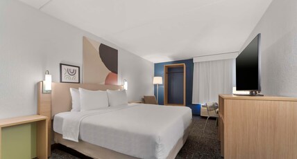 Spark by Hilton Grand Prairie Room Type - 1 KING BED