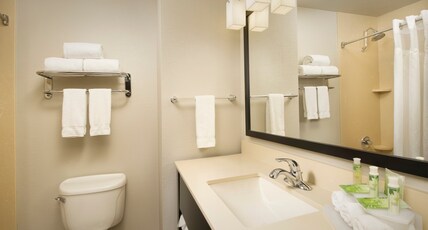 Holiday Inn Express & Suites DFW-GRAPEVINE Room Type - 1 Bedroom Suite Sofa Bed 1 King