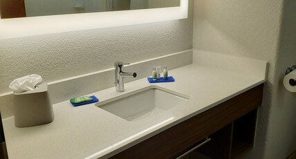 Holiday Inn Express Hotel and Suites Weslaco Room Type - 1 King Standard