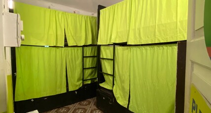 Jungle Hostel by MangoTree Room Type - 4 Bed Female dorm