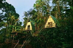 Coorgology - The estate Villa, Coorg