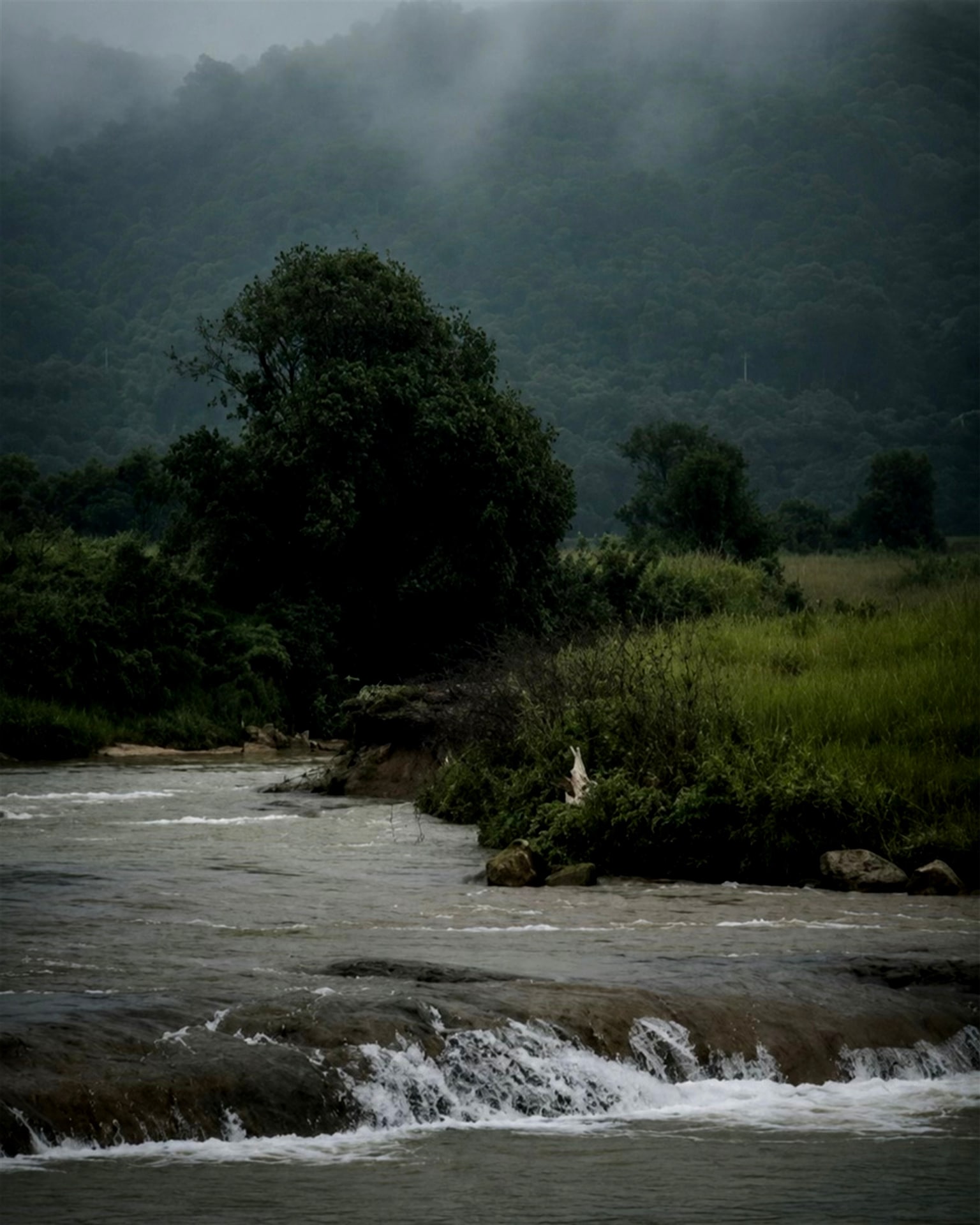 Sacred Grove Resort Sohra - Tap to explore photos