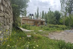 Willow Tree House