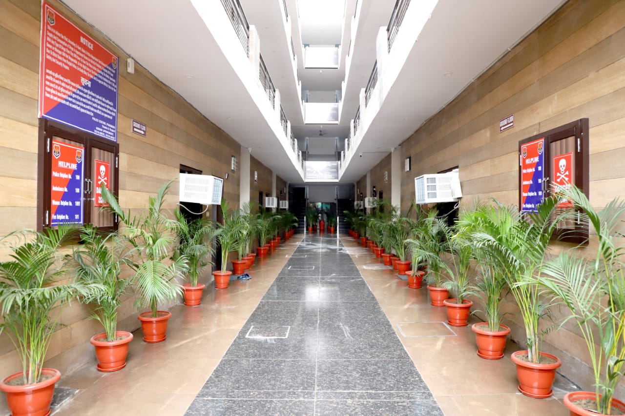 Main gallery