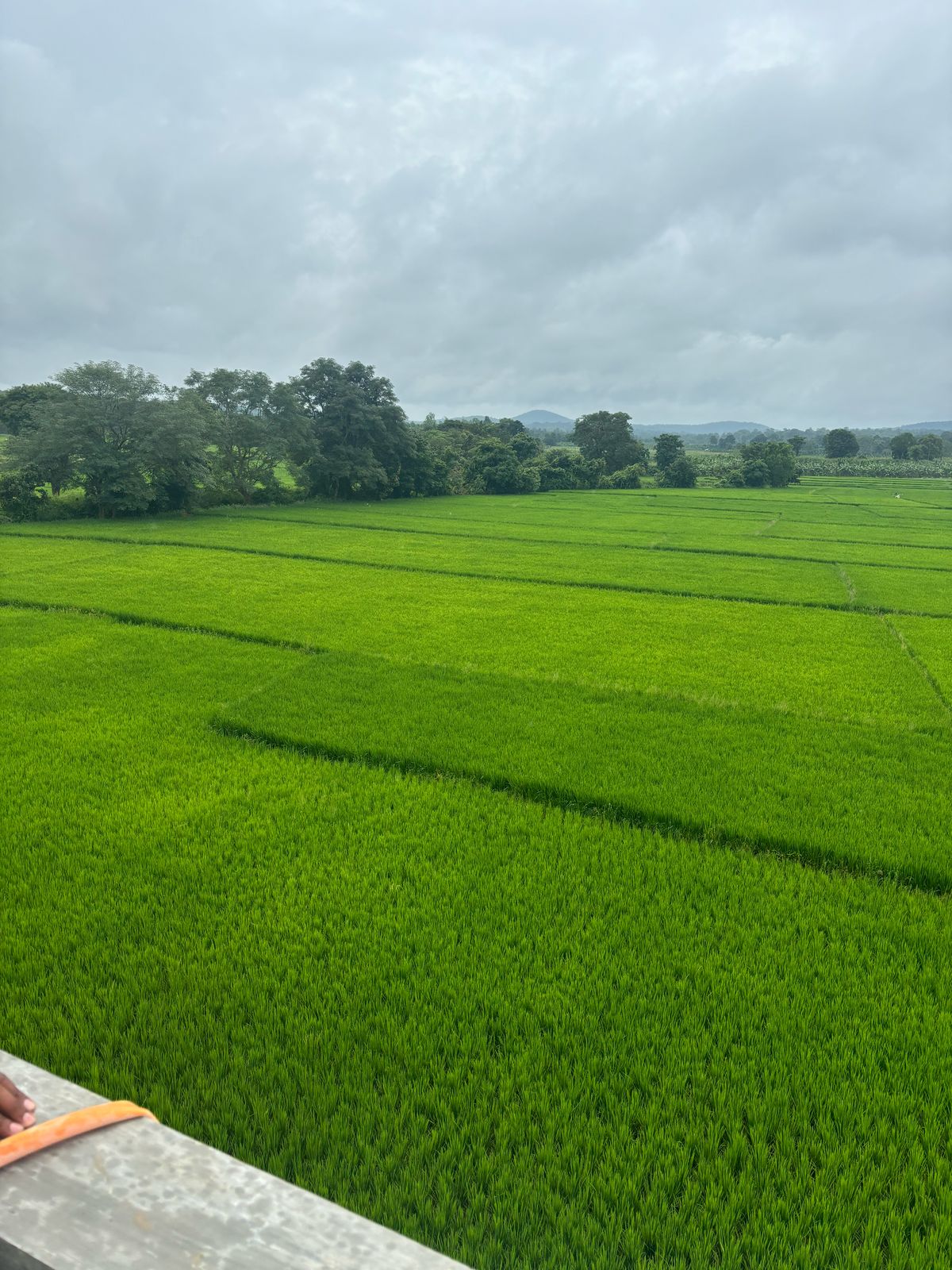 SHRI VENKATESHWARA HOTEL AND RESIDENCY - Tap to explore photos