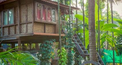 O'NEST Luxury Homestay | Rooms & Wi-Fi Room Type - Tree house
