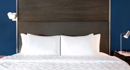 Tru By Hilton Macon North, GA Room Type - 1 KING BED