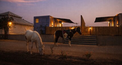 IndiPods Jawai Room Type - Studio Pods