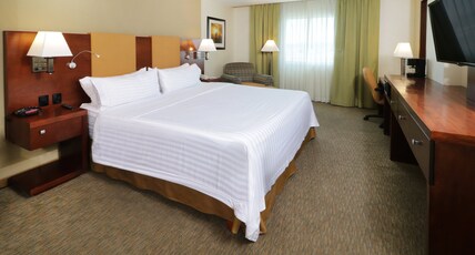 Holiday Inn Hotel & Suites HERMOSILLO AEROPUERTO Room Type - 1 King Standard
