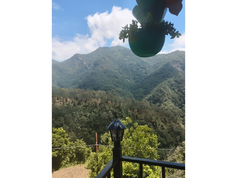 Jungle Valley Camp - Tap to explore photos