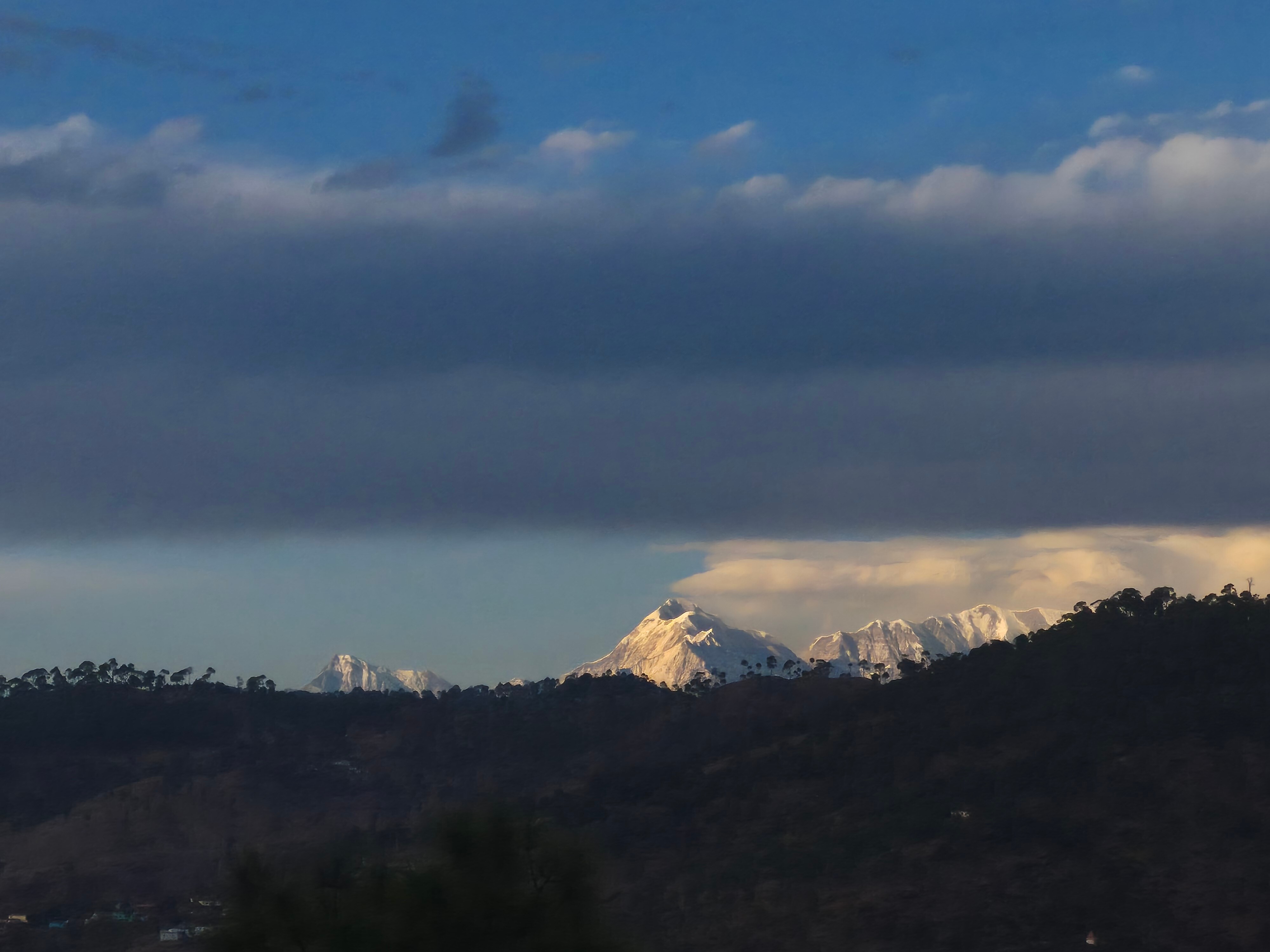 Roaming Rovers - Pet-Friendly & Peaceful Homestay in Almora - Tap to explore photos