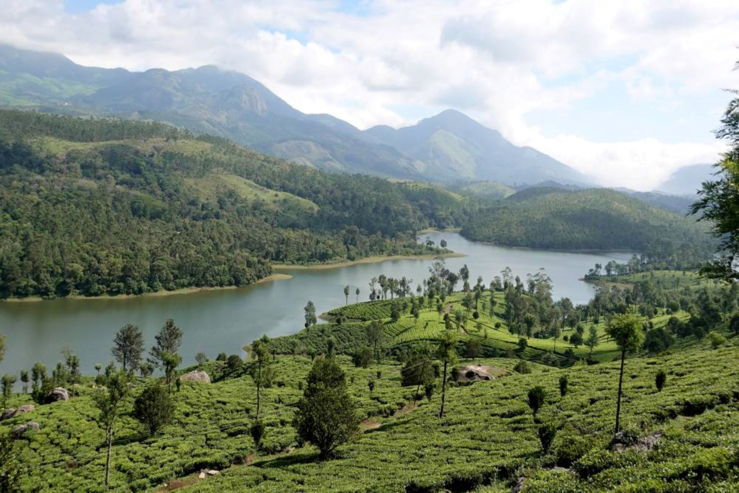Crown Woods Munnar - Tap to explore photos